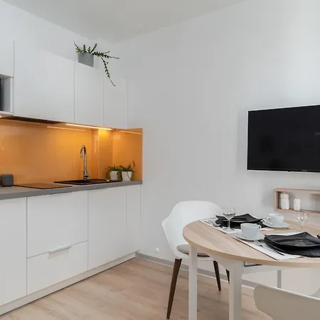 Apartament Przytulny Prestige Kawalerka W Centrum Lodzi Nowy *
