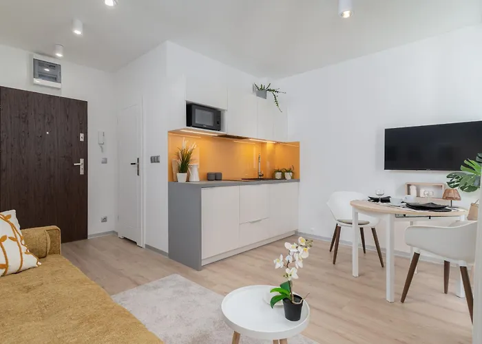 Lejlighed Przytulny Prestige Kawalerka W Centrum Lodzi Nowy